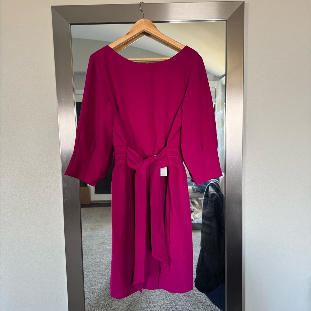 Elegant Magenta Dress